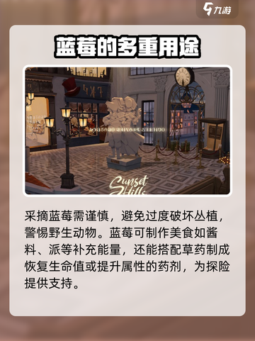 落日山丘😎蓝莓位置大揭秘！🔥超简单攻略来啦～截图4