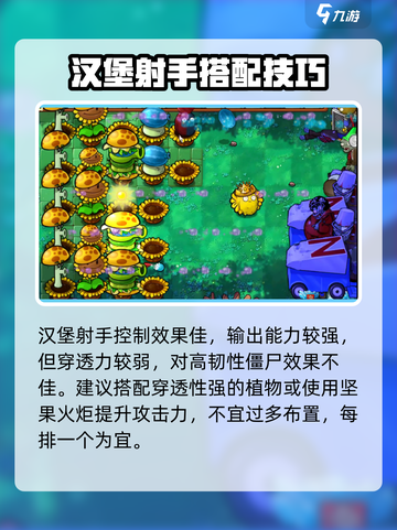 《植物大战僵尸》汉堡射手爆火！🍔💥截图4