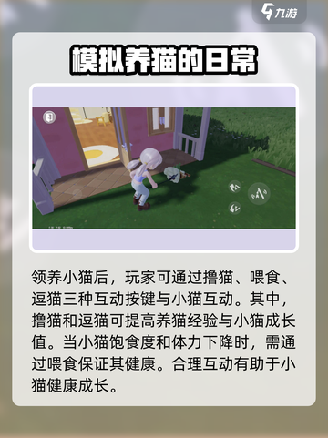 心动小镇🐱养猫详细攻略，不看后悔！截图4