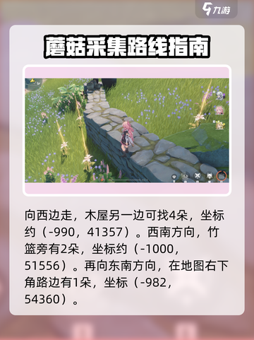 鸣潮金阳凤采集路线分享介绍截图5