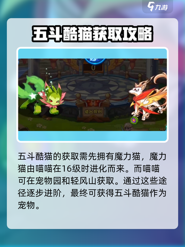 洛克王国手游：五斗酷猫超强🔥攻略来了！截图2