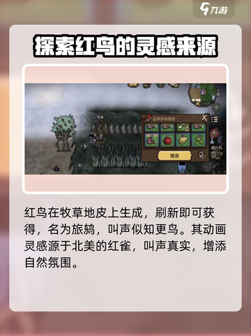 饥荒新家园红鸟在哪介绍截图2