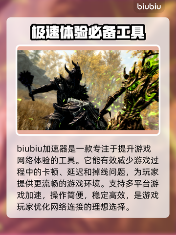 上古卷轴5🔥掉线？加速神器推荐🎉截图2