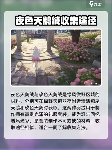 无限暖暖🔥夜色天鹅绒获取方式大揭秘！截图2