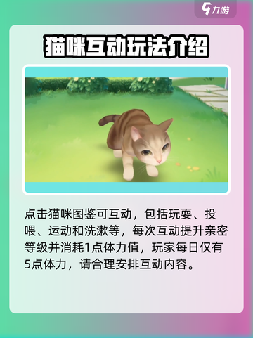 喵与筑🔥超简单攻略分享，新手必看！🎮截图3