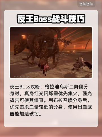 艾尔登法环黑夜君临🔥开荒必看！新手速成攻略💎截图5