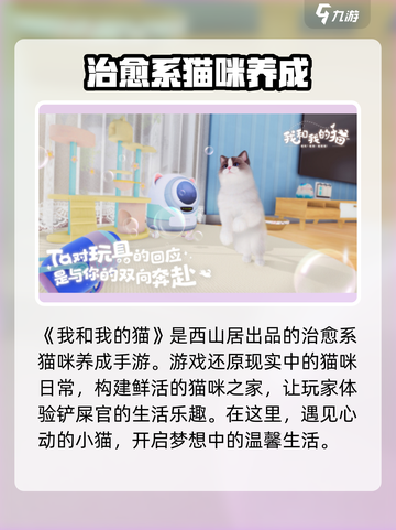 我和我的猫什么时候上线介绍截图3