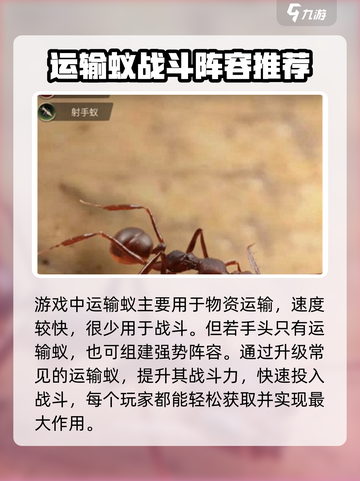 小小蚁国全运输蚁阵容怎么搭配介绍截图2