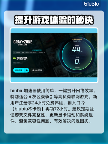 灰区战争闪退？❌掌握这些解决办法，轻松搞定！💥截图4