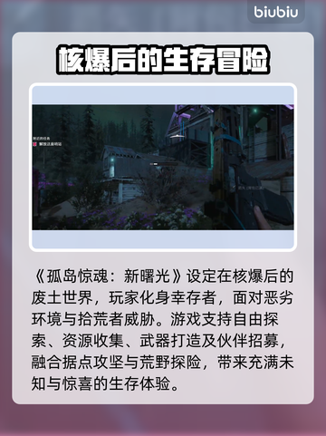 💥孤岛惊魂新曙光进不去？加速器推荐来救急！🎮截图2