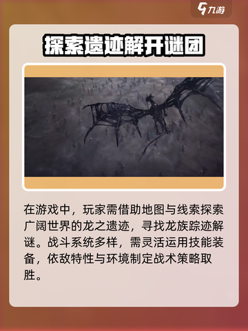 龙息神寂在哪个平台上线介绍截图4