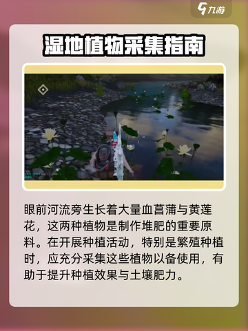 七日世界血菖蒲采集点在哪介绍截图3