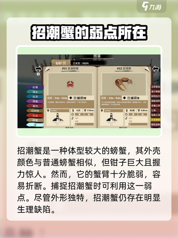 渔帆暗涌招潮蟹在哪里介绍截图3