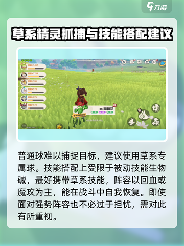 洛克王国世界蹦蹦种子在哪介绍截图4