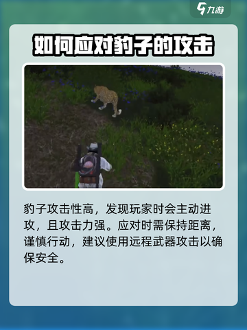 七日世界豹子在哪介绍截图4