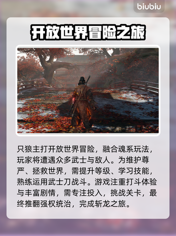 只狼史低价格🔥超值入手时机别错过！🎮截图2