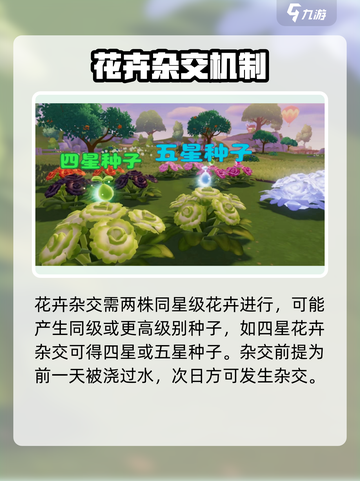 心动小镇扶桑花种植全攻略！🌺截图4