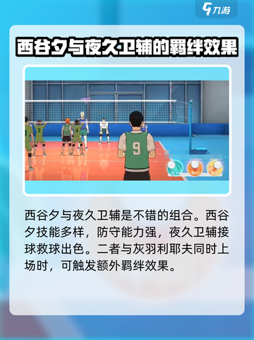 排球少年手游阵容特性有哪些介绍截图3