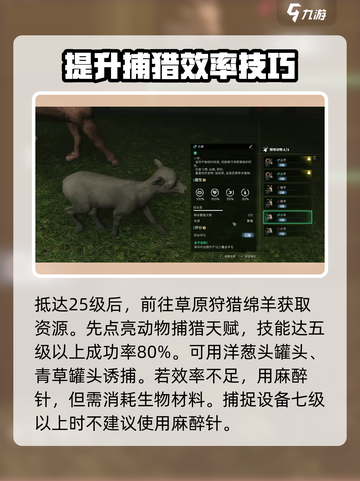 七日世界金羊毛是什么介绍截图3