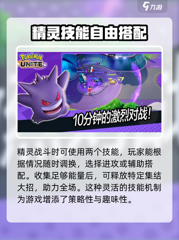 宝可梦大集结上线时间🔥下载渠道大全🎉截图4