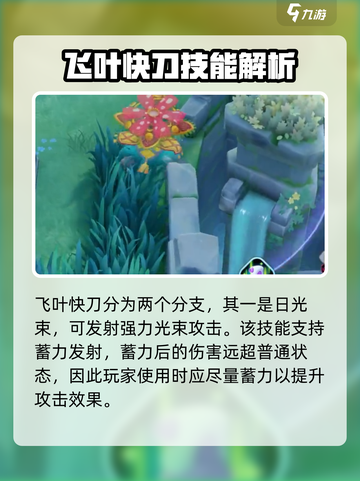 宝可梦大集结✅妙蛙花玩法技巧大公开！🔥截图5