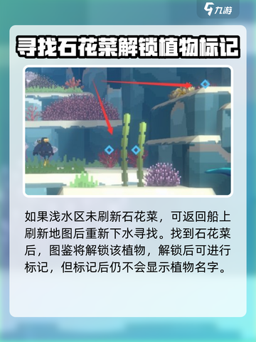 潜水员戴夫石花菜在哪介绍截图4
