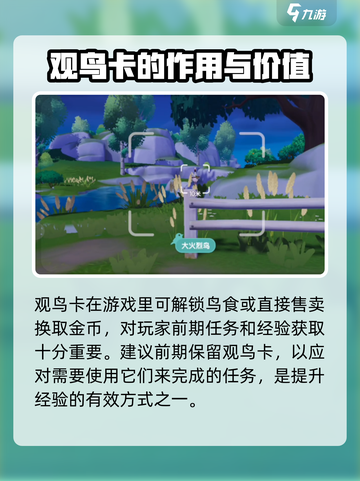 心动小镇观鸟卡大揭秘！✨游戏必备神器，快来看👇截图2