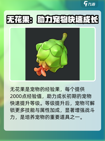 洛克王国手游道具有哪些介绍截图6