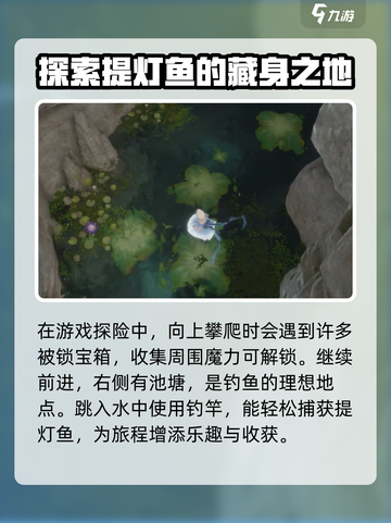 无限暖暖提灯鱼在哪里介绍截图4