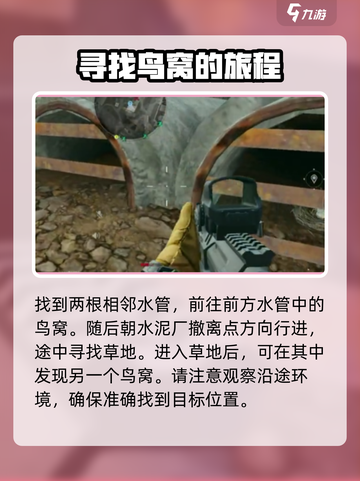 三角洲行动鸟能躲就躲！鸟窝位置全曝光🔥截图3