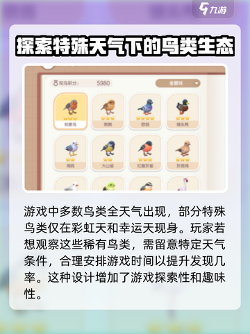 心动小镇🔥必看！特殊鸟类位置大全🎉截图2