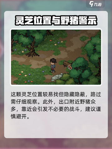 大侠立志传迷踪林灵芝在哪介绍截图5