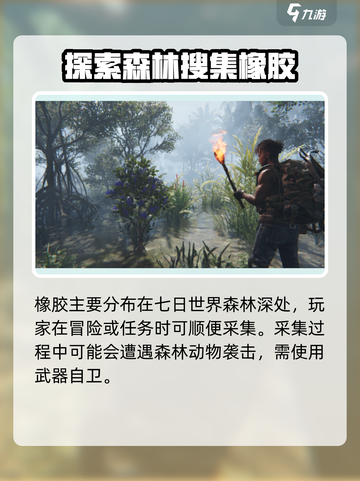 七日世界橡胶哪里多介绍截图3