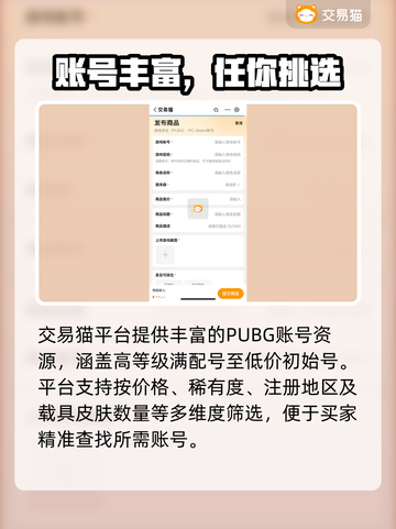 🔥PUBG账号交易平台大揭秘！🎮截图4