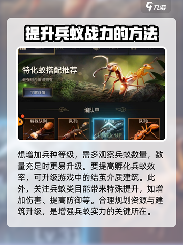 小小蚁国兵蚁搭配攻略介绍截图5