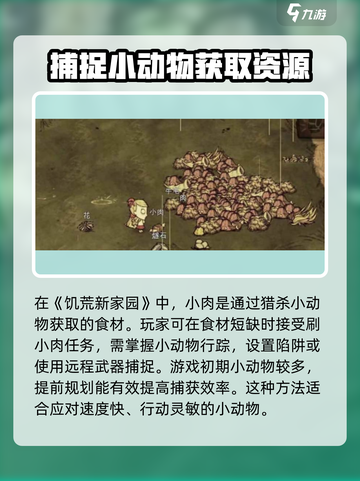 饥荒新家园🔥超简单刷小肉攻略💡截图2