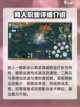 巴风特之怒商人二转怎么选介绍截图2