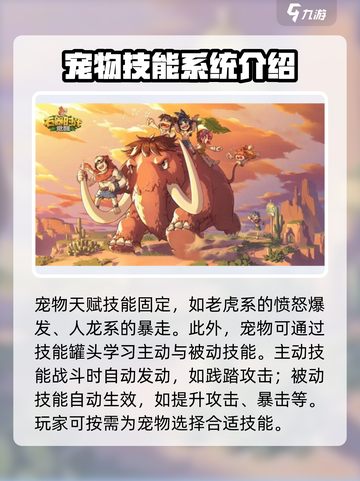 石器时代觉醒宠物技能攻略介绍截图2