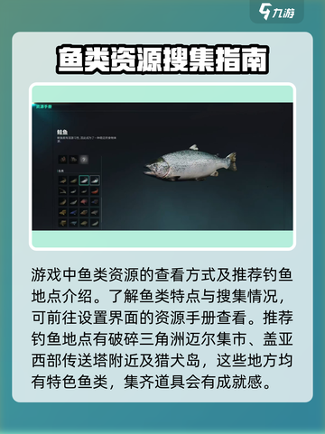 七日世界钓鱼技巧💥新手必看🐟截图4