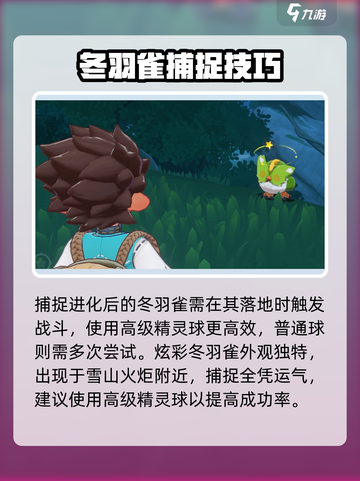 洛克王国世界冬羽雀怎么捕捉介绍截图4