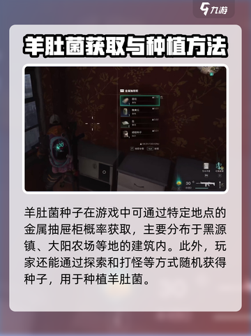七日世界羊肚菌有什么用介绍截图2