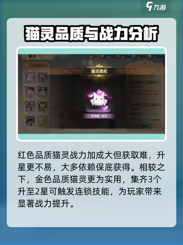 森之国度最强猫灵🔥等你来战！🎮截图5