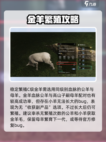 七日世界🔥金羊毛获取秘籍💡玩家必看！截图5