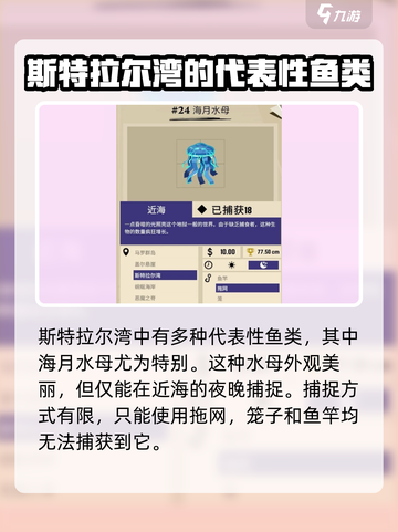 渔帆暗涌斯特拉尔湾钓鱼🔥超全攻略来啦！截图3