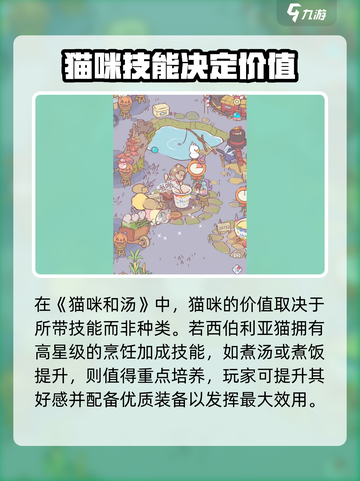 🎮《猫咪和汤》西伯利亚猫养成攻略大揭秘！截图2