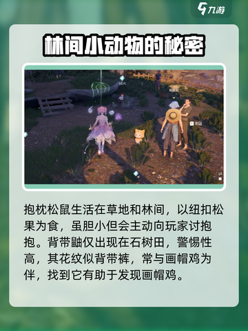 无限暖暖画帽鸡在哪介绍截图4
