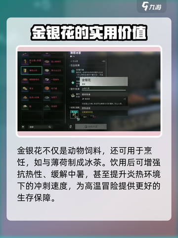 七日世界🔥金银花快速获取攻略💎截图4