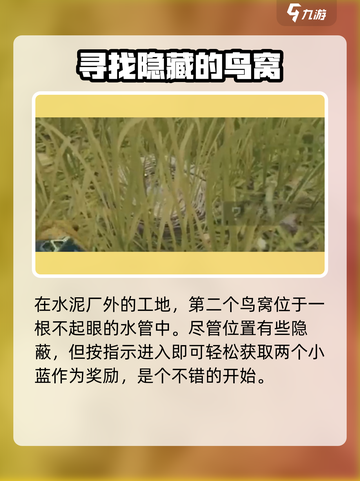 三角洲行动鸟窝位置一览介绍截图3
