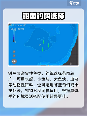 🎣《钓鱼星球》钳鱼爆护秘籍！🎮截图3