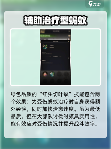 小小蚁国切叶蚁有什么用介绍截图2